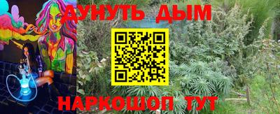 молекула духа Обь