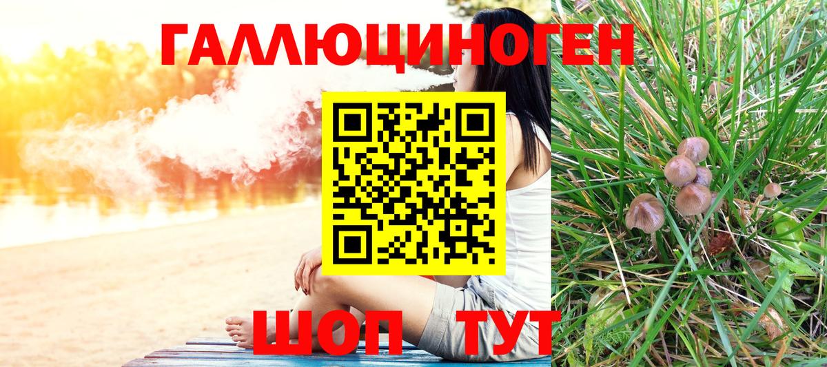 Галлюциногенные грибы Psilocybe  Вход с VPN  купить закладку  Псилоцибиновые грибы GOLDEN TEACHER  Ревда 